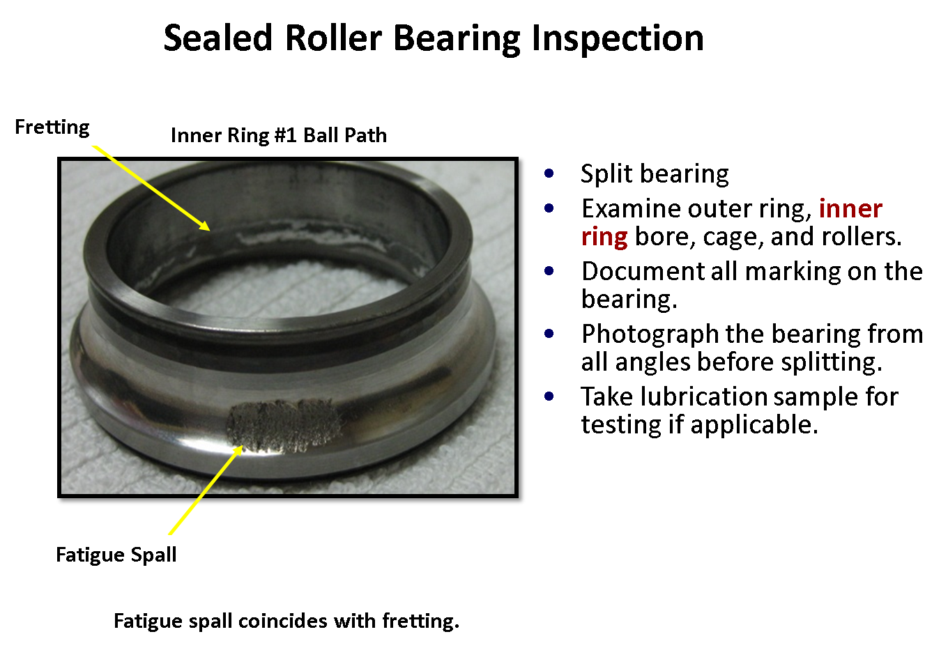 Examining Rolling Element Bearings Reliability